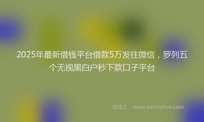 2025年最新借钱平台借款5万发往微信，罗列五个无视黑白户秒下款口子平台