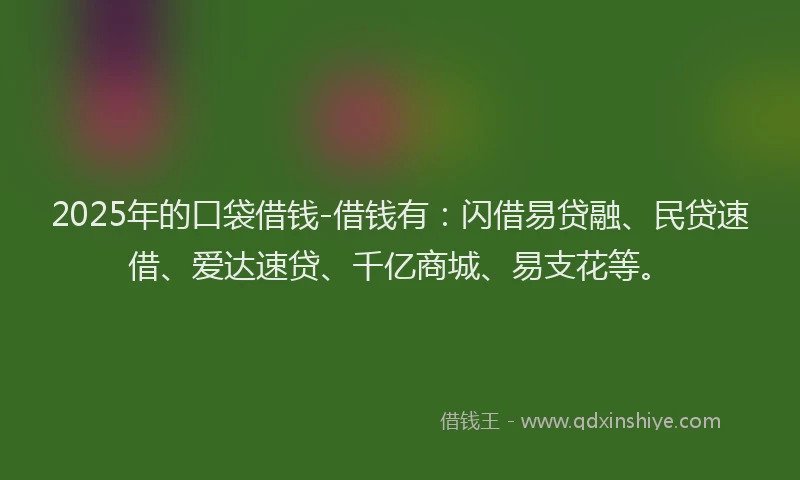 2025年的口袋借钱-借钱有：闪借易贷融、民贷速借、爱达速贷、千亿商城、易支花等。