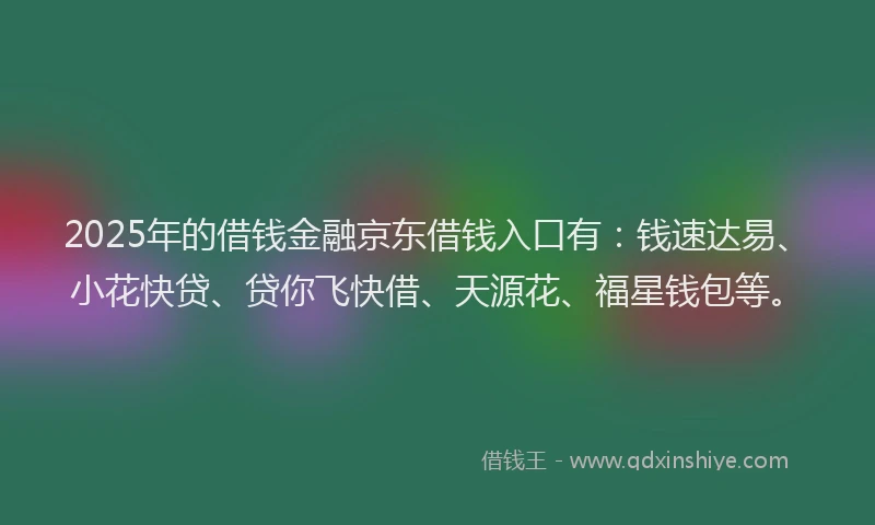 2025年的借钱金融京东借钱入口有：钱速达易、小花快贷、贷你飞快借、天源花、福星钱包等。