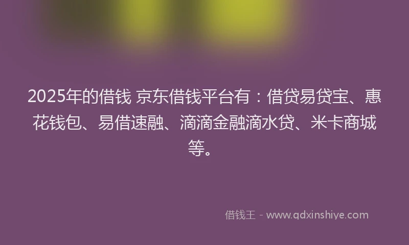 2025年的借钱 京东借钱平台有：借贷易贷宝、惠花钱包、易借速融、滴滴金融滴水贷、米卡商城等。