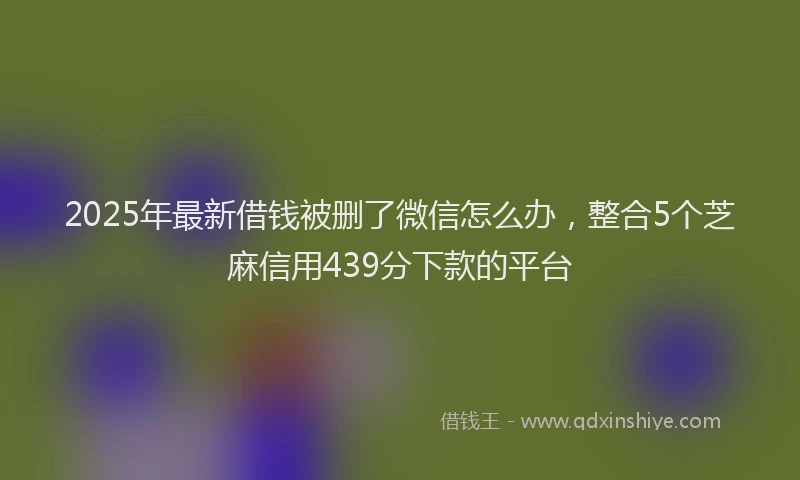 2025年最新借钱被删了微信怎么办,整合5个芝麻信用439分下款的平台