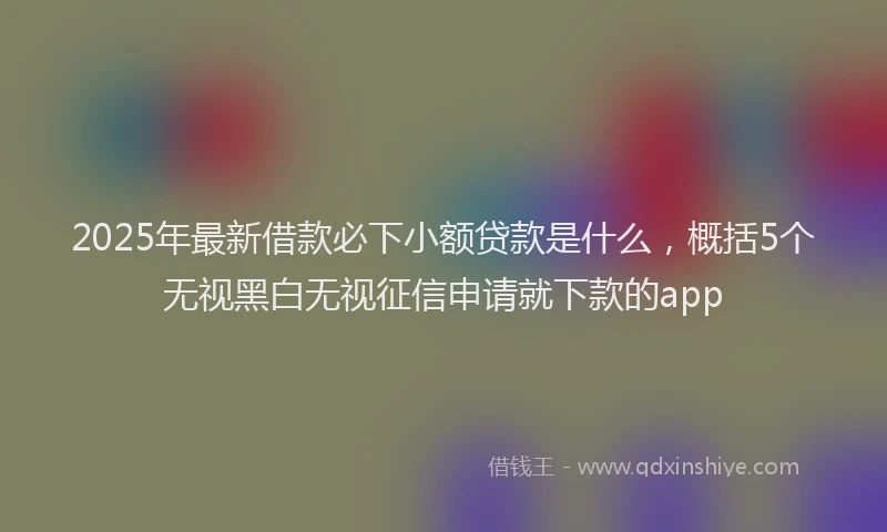 2025年最新借款必下小额贷款是什么，概括5个无视黑白无视征信申请就下款的app
