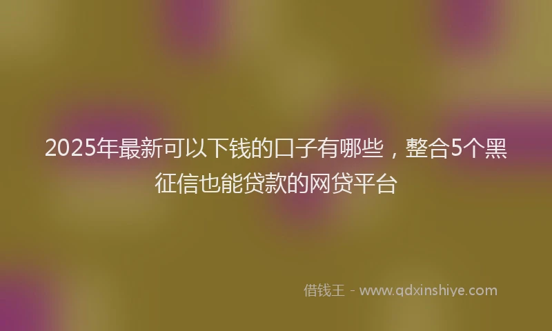 2025年最新可以下钱的口子有哪些，整合5个黑征信也能贷款的网贷平台