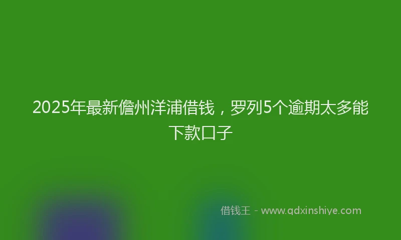2025年最新儋州洋浦借钱，罗列5个逾期太多能下款口子