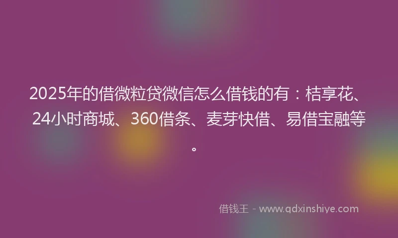 2025年的借微粒贷微信怎么借钱的有：桔享花、24小时商城、360借条、麦芽快借、易借宝融等。