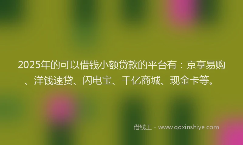 2025年的可以借钱小额贷款的平台有：京享易购、洋钱速贷、闪电宝、千亿商城、现金卡等。