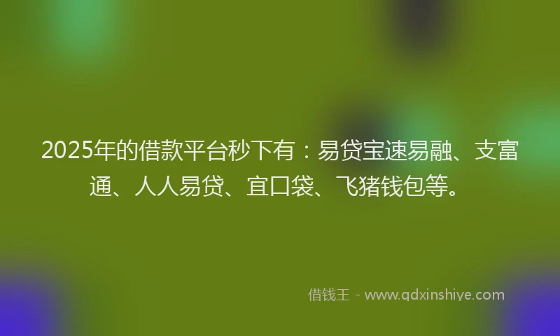 2025年的借款平台秒下有：易贷宝速易融、支富通、人人易贷、宜口袋、飞猪钱包等。