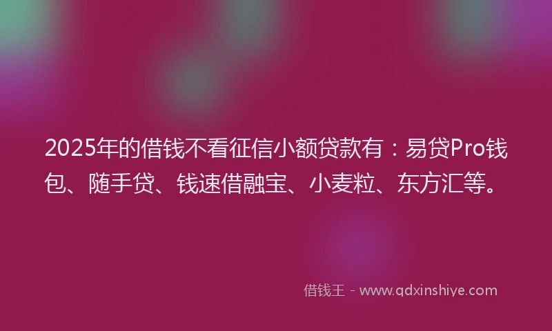 2025年的借钱不看征信小额贷款有：易贷Pro钱包、随手贷、钱速借融宝、小麦粒、东方汇等。
