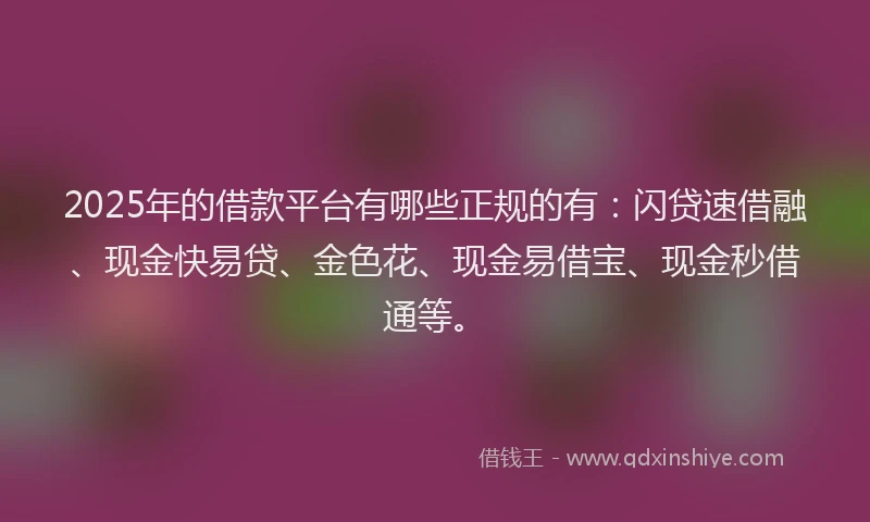 2025年的借款平台有哪些正规的有：闪贷速借融、现金快易贷、金色花、现金易借宝、现金秒借通等。