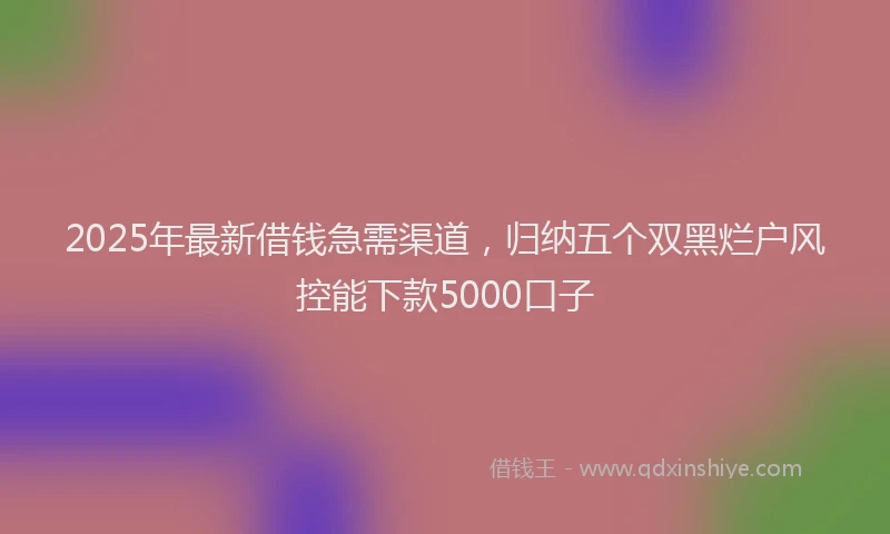 2025年最新借钱急需渠道，归纳五个双黑烂户风控能下款5000口子
