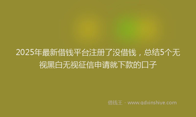 2025年最新借钱平台注册了没借钱，总结5个无视黑白无视征信申请就下款的口子