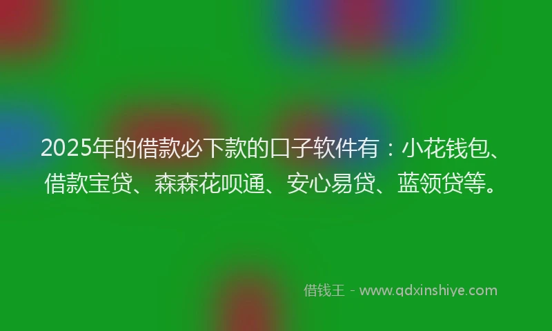 2025年的借款必下款的口子软件有：小花钱包、借款宝贷、森森花呗通、安心易贷、蓝领贷等。