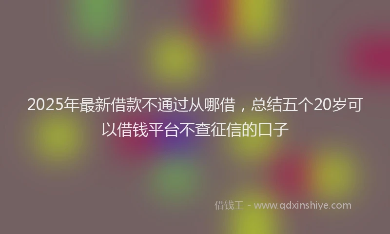 2025年最新借款不通过从哪借，总结五个20岁可以借钱平台不查征信的口子
