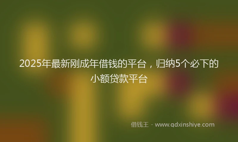 2025年最新刚成年借钱的平台，归纳5个必下的小额贷款平台