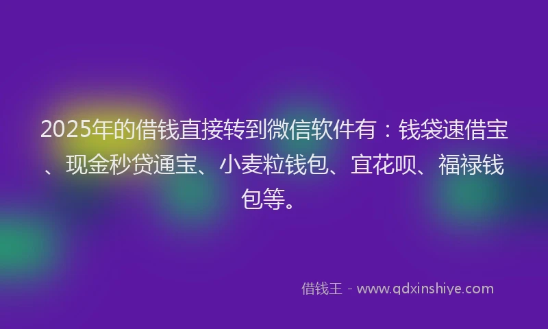2025年的借钱直接转到微信软件有：钱袋速借宝、现金秒贷通宝、小麦粒钱包、宜花呗、福禄钱包等。