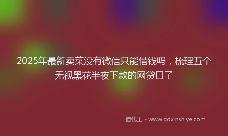2025年最新卖菜没有微信只能借钱吗，梳理五个无视黑花半夜下款的网贷口子