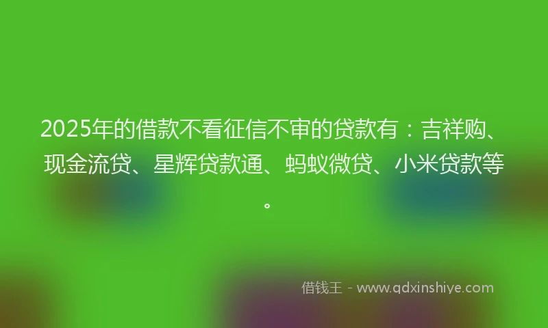 2025年的借款不看征信不审的贷款有：吉祥购、现金流贷、星辉贷款通、蚂蚁微贷、小米贷款等。
