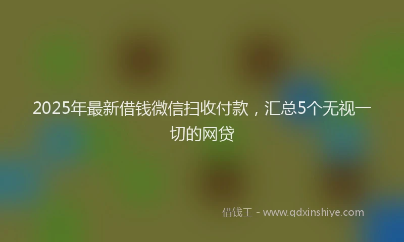 2025年最新借钱微信扫收付款，汇总5个无视一切的网贷