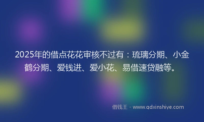 2025年的借点花花审核不过有：琉璃分期、小金鹤分期、爱钱进、爱小花、易借速贷融等。
