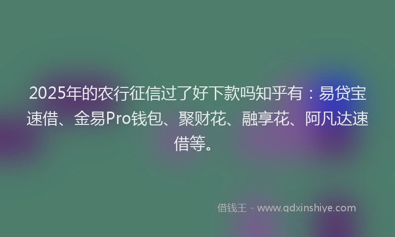 2025年的农行征信过了好下款吗知乎有：易贷宝速借、金易Pro钱包、聚财花、融享花、阿凡达速借等。