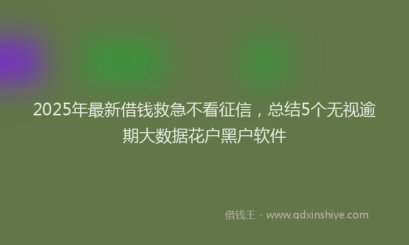 2025年最新借钱救急不看征信，总结5个无视逾期大数据花户黑户软件