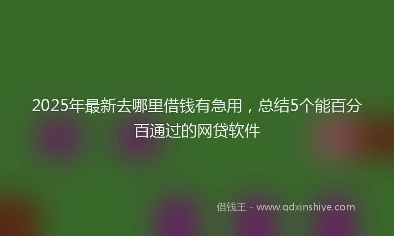 2025年最新去哪里借钱有急用，总结5个能百分百通过的网贷软件