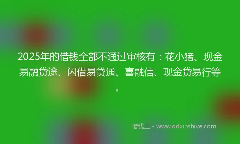 2025年的借钱全部不通过审核有：花小猪、现金易融贷途、闪借易贷通、喜融信、现金贷易行等。