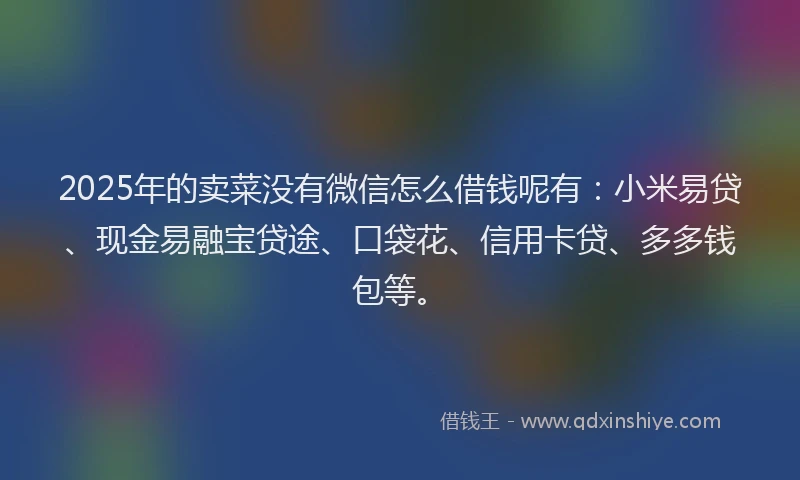 2025年的卖菜没有微信怎么借钱呢有：小米易贷、现金易融宝贷途、口袋花、信用卡贷、多多钱包等。
