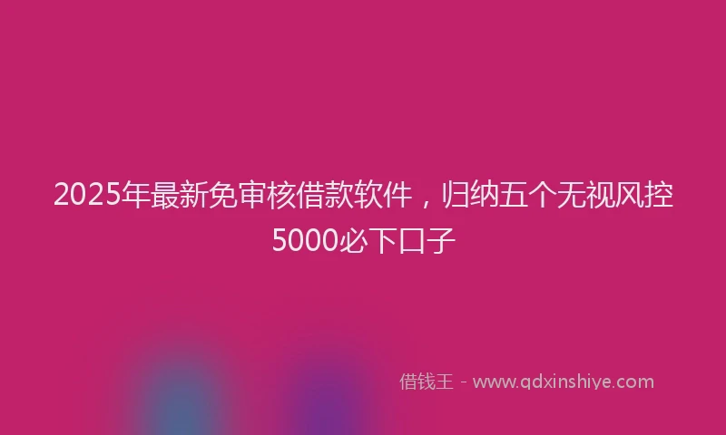 2025年最新免审核借款软件，归纳五个无视风控5000必下口子