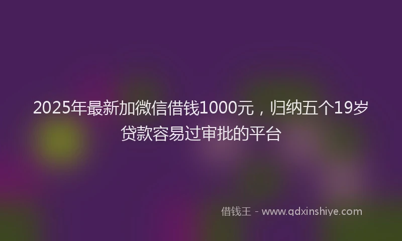 2025年最新加微信借钱1000元，归纳五个19岁贷款容易过审批的平台