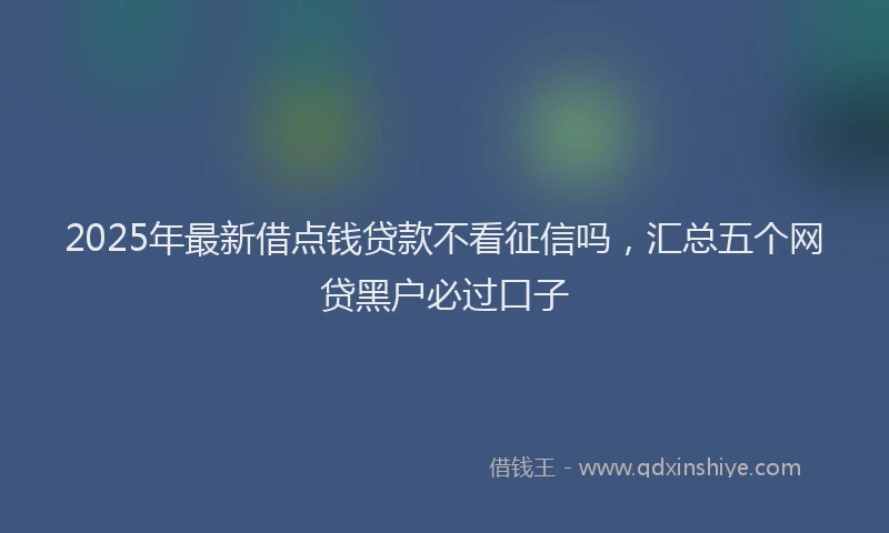 2025年最新借点钱贷款不看征信吗，汇总五个网贷黑户必过口子