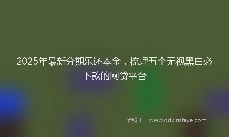 2025年最新分期乐还本金，梳理五个无视黑白必下款的网贷平台