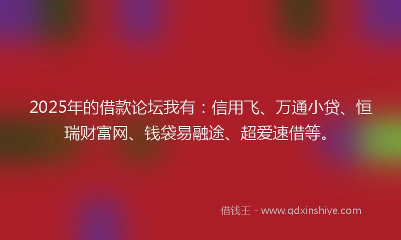 2025年的借款论坛我有：信用飞、万通小贷、恒瑞财富网、钱袋易融途、超爱速借等。