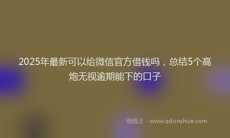 2025年最新可以给微信官方借钱吗，总结5个高炮无视逾期能下的口子
