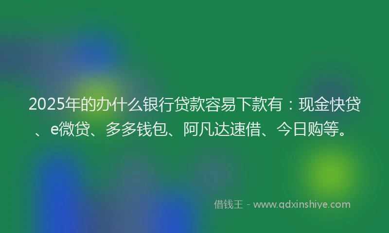 2025年的办什么银行贷款容易下款有：现金快贷、e微贷、多多钱包、阿凡达速借、今日购等。