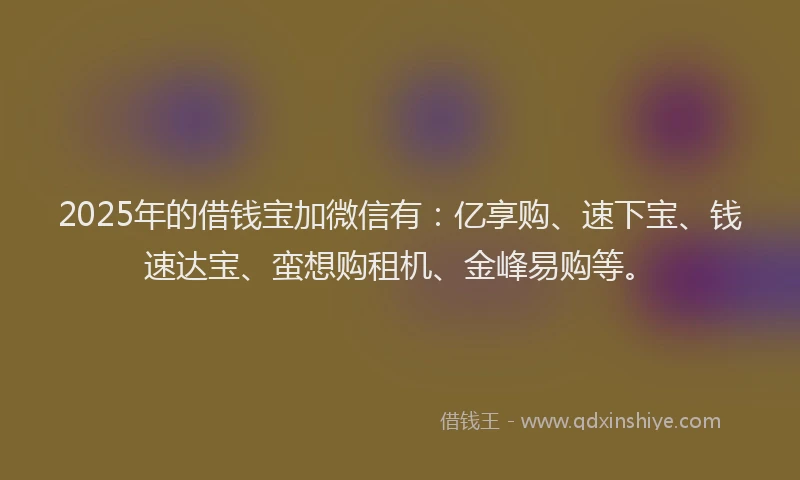 2025年的借钱宝加微信有：亿享购、速下宝、钱速达宝、蛮想购租机、金峰易购等。