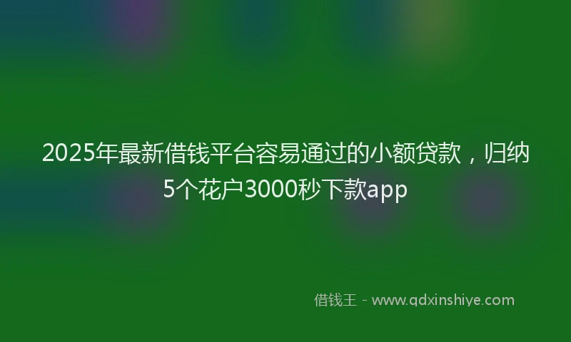2025年最新借钱平台容易通过的小额贷款，归纳5个花户3000秒下款app