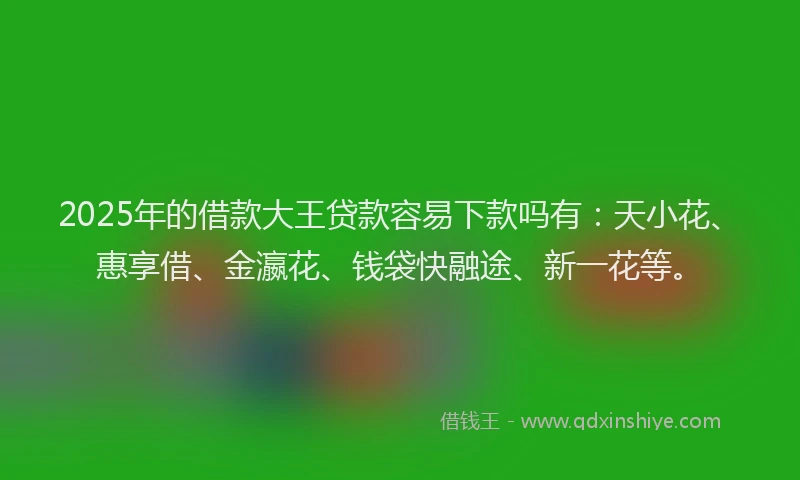 2025年的借款大王贷款容易下款吗有：天小花、惠享借、金瀛花、钱袋快融途、新一花等。