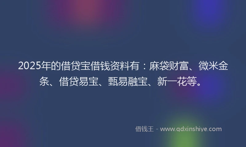 2025年的借贷宝借钱资料有：麻袋财富、微米金条、借贷易宝、甄易融宝、新一花等。