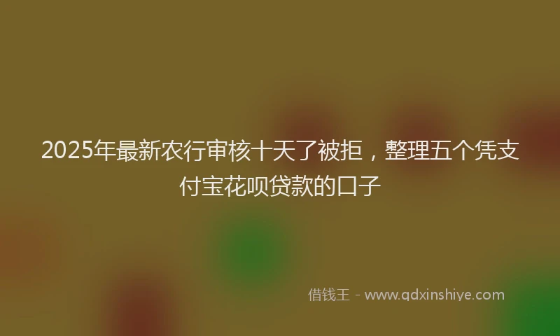 2025年最新农行审核十天了被拒，整理五个凭支付宝花呗贷款的口子