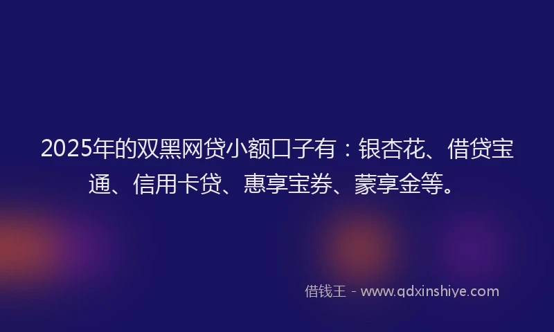 2025年的双黑网贷小额口子有：银杏花、借贷宝通、信用卡贷、惠享宝券、蒙享金等。