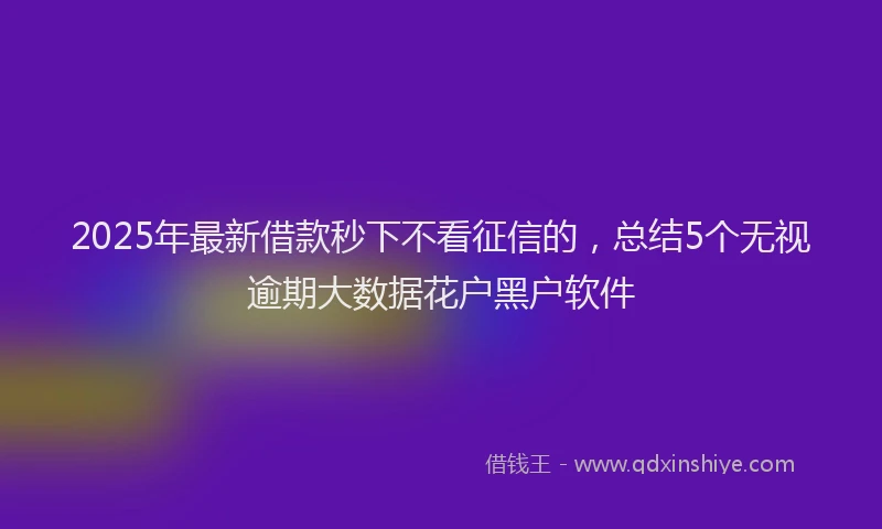 2025年最新借款秒下不看征信的，总结5个无视逾期大数据花户黑户软件