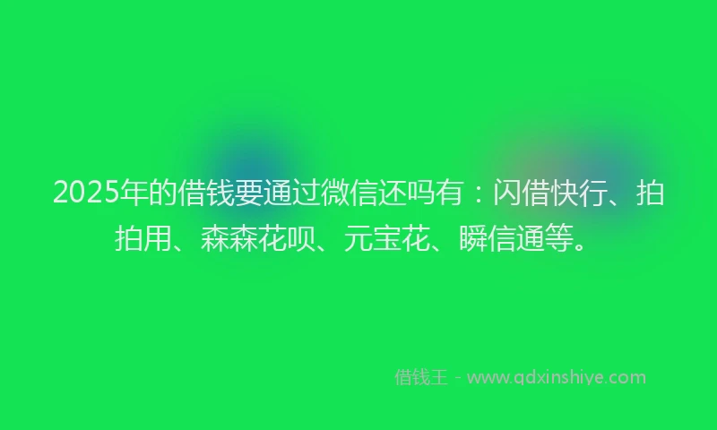 2025年的借钱要通过微信还吗有：闪借快行、拍拍用、森森花呗、元宝花、瞬信通等。