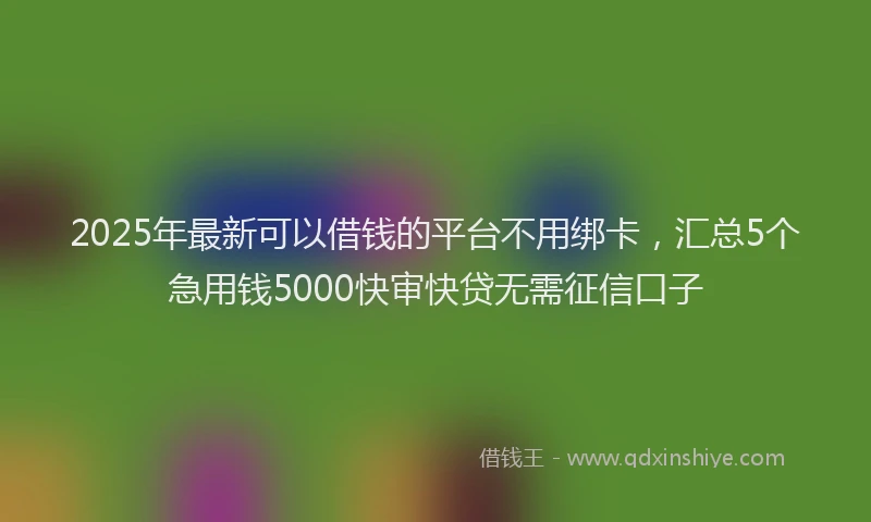 2025年最新可以借钱的平台不用绑卡，汇总5个急用钱5000快审快贷无需征信口子