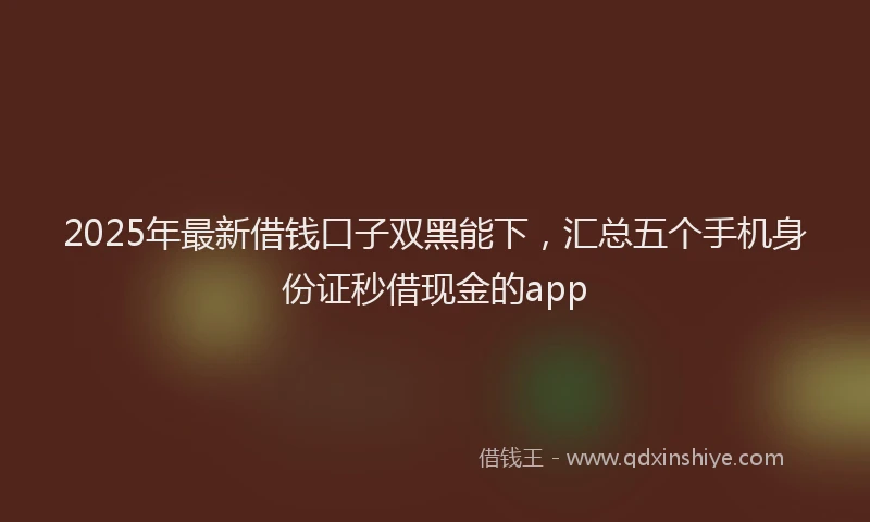 2025年最新借钱口子双黑能下，汇总五个手机身份证秒借现金的app