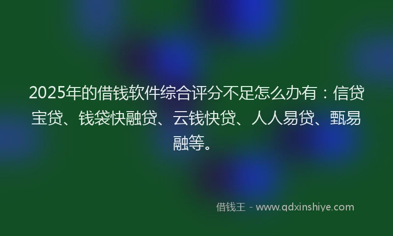 2025年的借钱软件综合评分不足怎么办有：信贷宝贷、钱袋快融贷、云钱快贷、人人易贷、甄易融等。