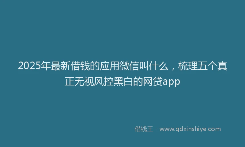 2025年最新借钱的应用微信叫什么，梳理五个真正无视风控黑白的网贷app