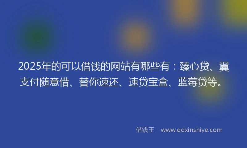 2025年的可以借钱的网站有哪些有：臻心贷、翼支付随意借、替你速还、速贷宝盒、蓝莓贷等。