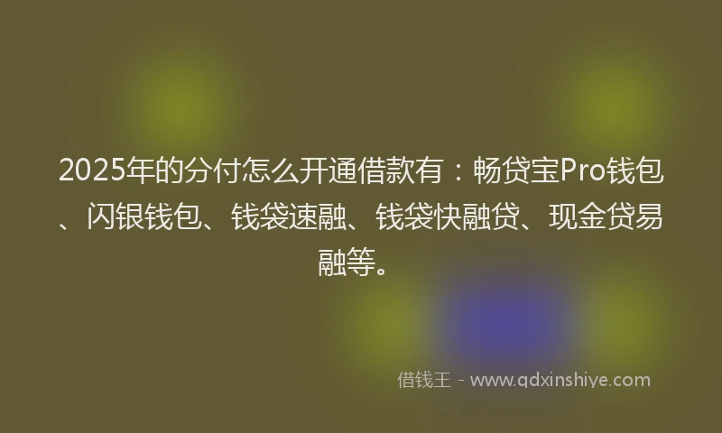 2025年的分付怎么开通借款有：畅贷宝Pro钱包、闪银钱包、钱袋速融、钱袋快融贷、现金贷易融等。