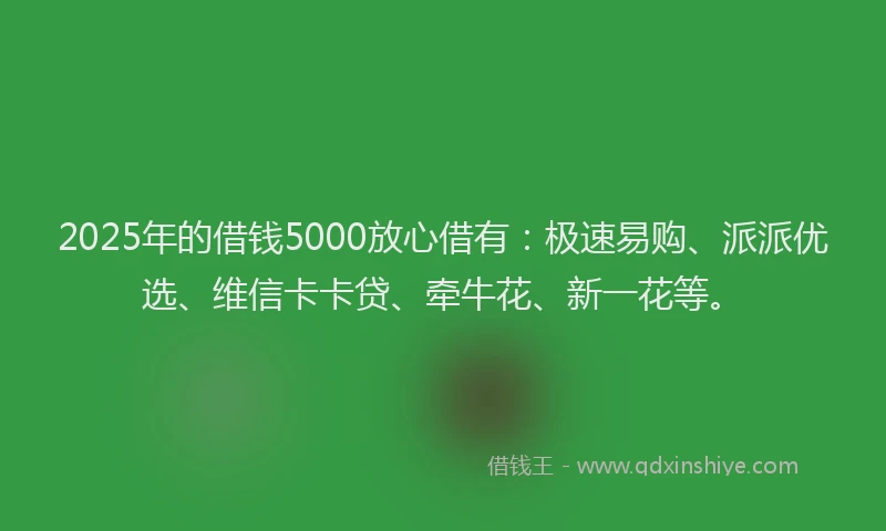2025年的借钱5000放心借有：极速易购、派派优选、维信卡卡贷、牵牛花、新一花等。